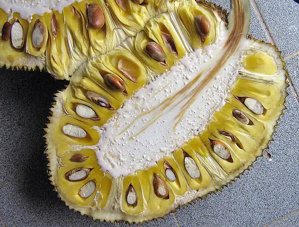 Photo 18 - cut jackfruit.webp